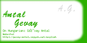 antal gevay business card